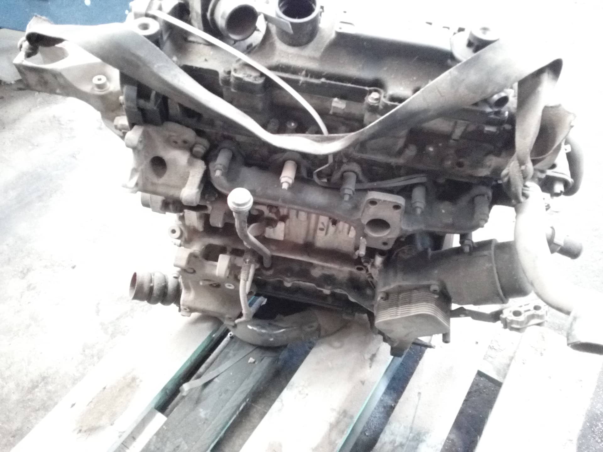 DESPIECE MOTOR
