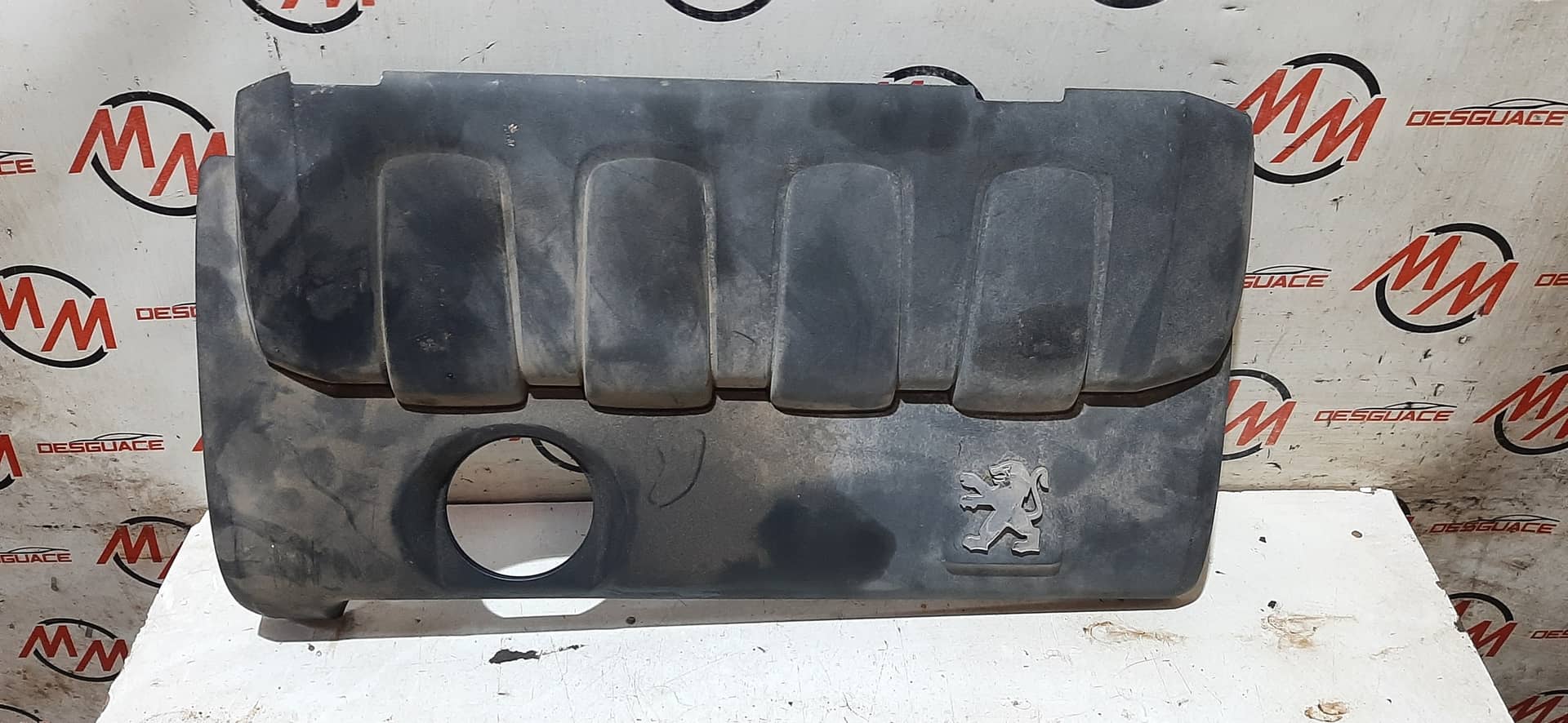 TAPA MOTOR