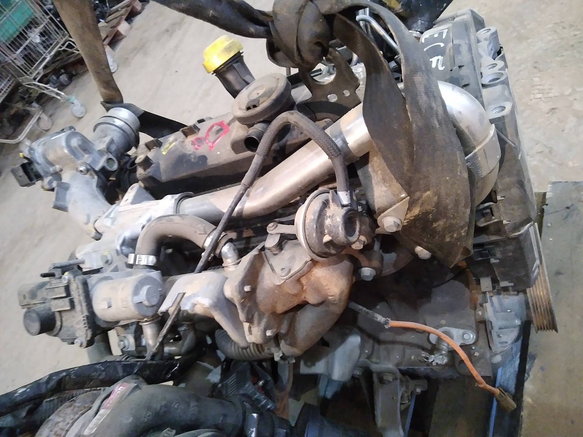 DESPIECE MOTOR
