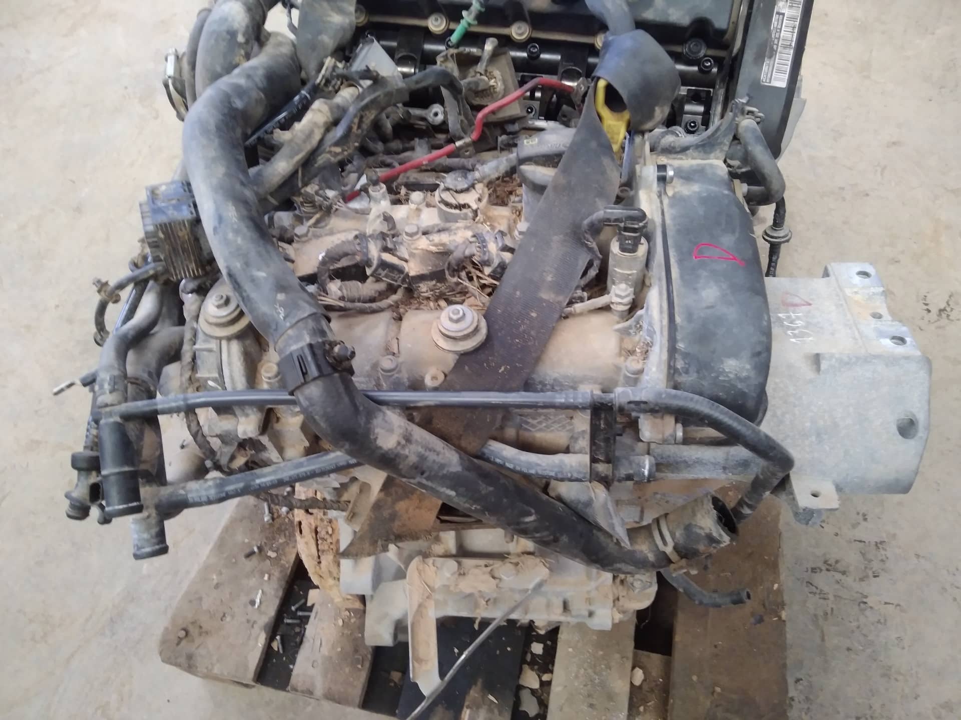 DESPIECE MOTOR
