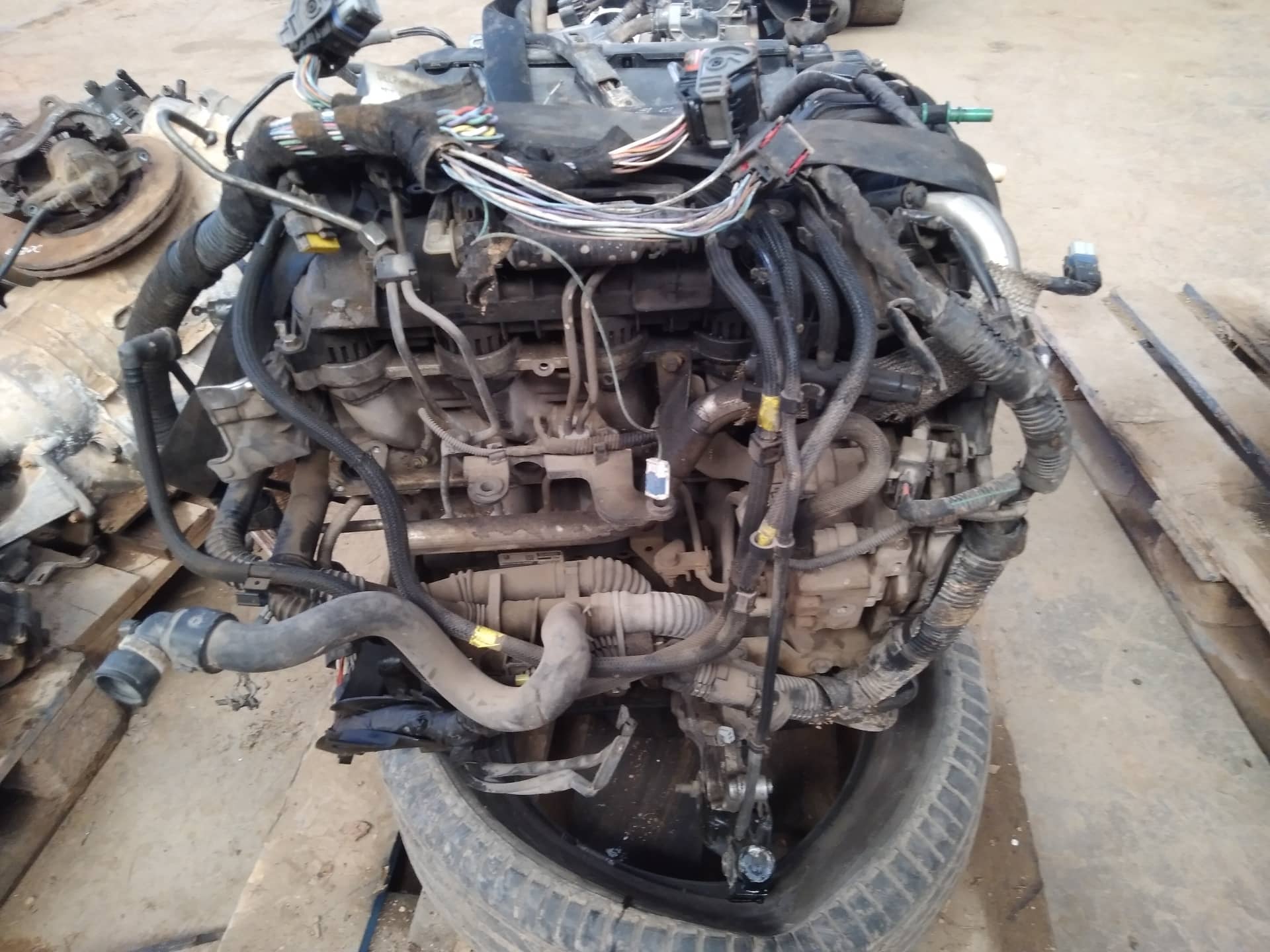 DESPIECE MOTOR