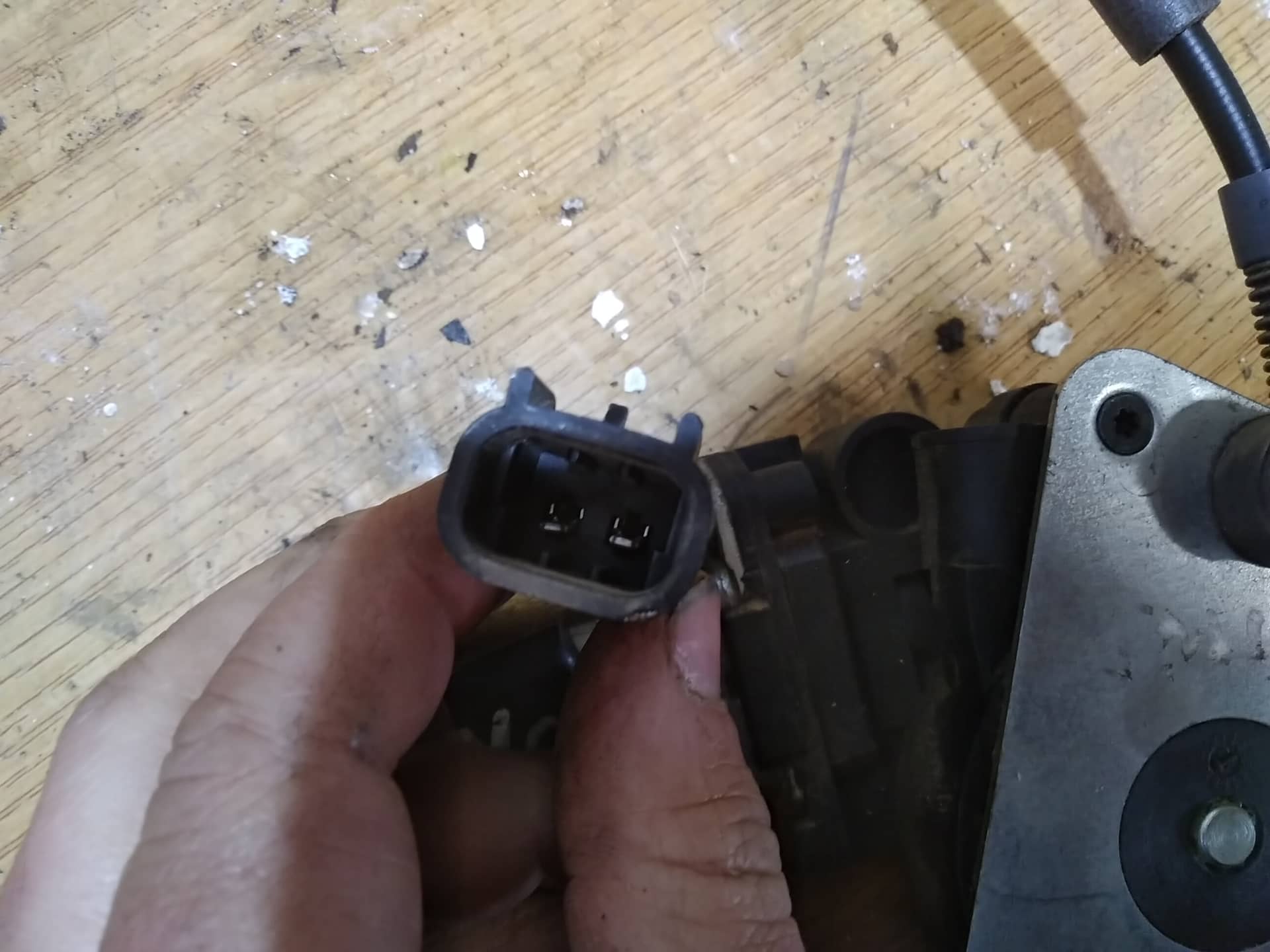 ELEVALUNAS TRASERO DERECHO